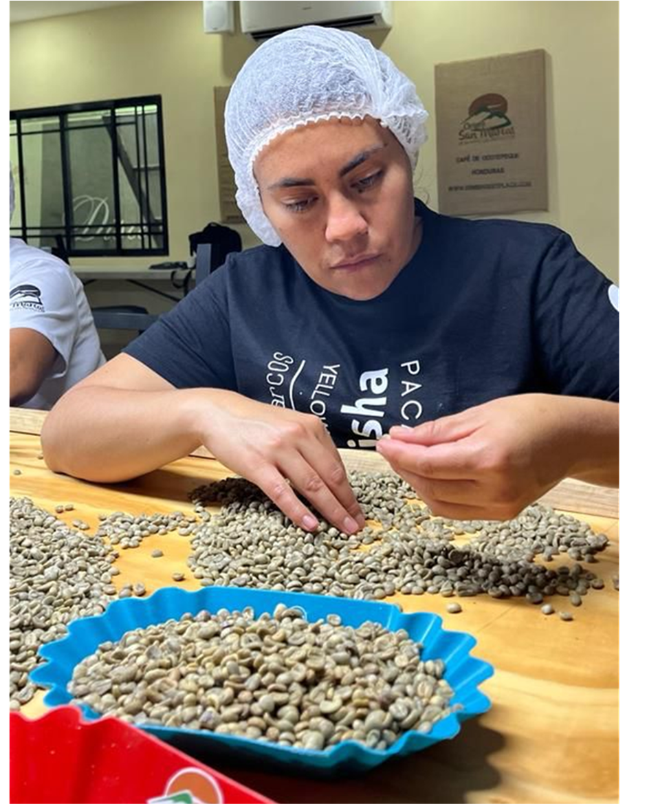 HONDURAS - Manos de Mujer