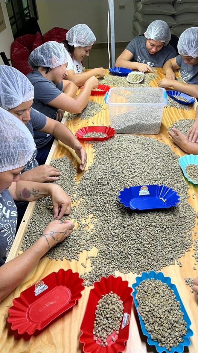 HONDURAS - Manos de Mujer