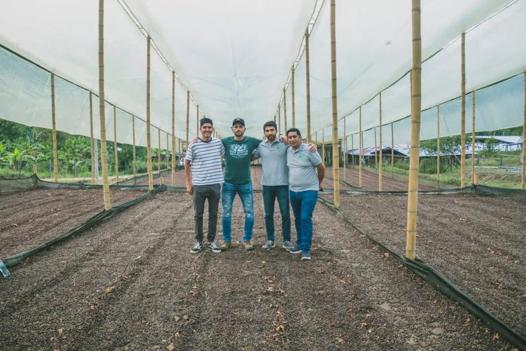 DECAF - Colombia - El Puente
