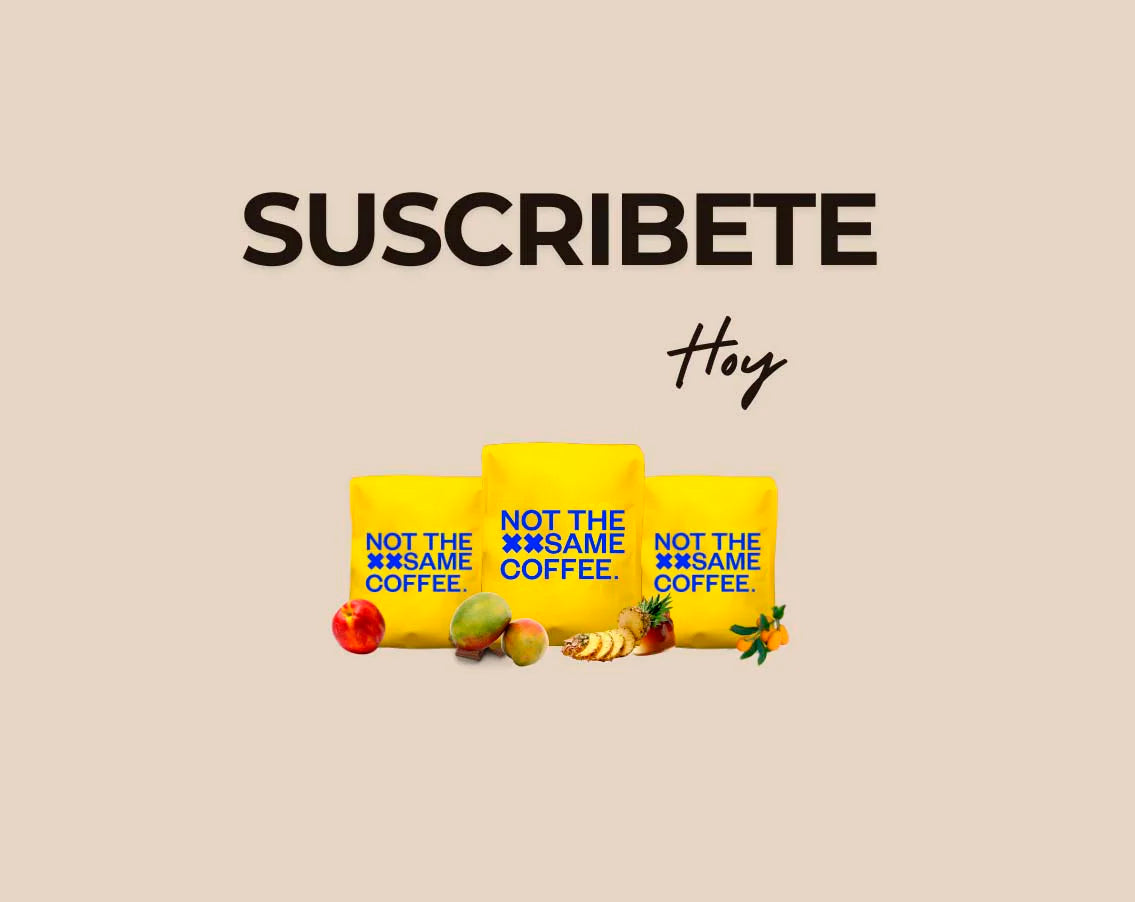 Suscripción para recibir café de especialidad cada mes.