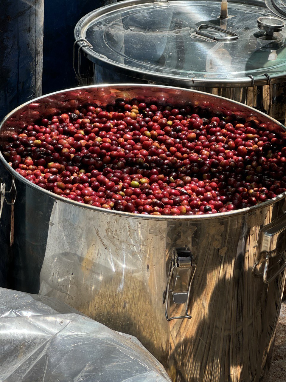 ETIOPIA - Yirgacheffe Gedeb
